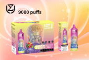 UZY Vaper 9000 9K Puffs 18ml Einweg-E-Zigaretten Original – Bild 7