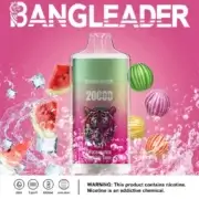 Bang Leader 20000 20K Puffs Einweg-E-Zigarette Original – Bild 3