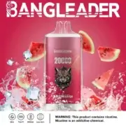 Bang Leader 20000 20K Puffs Einweg-E-Zigarette Original – Bild 2