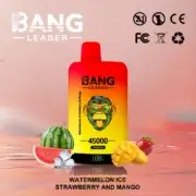 Bang Leader 45000 45K Puffs Dual Flavor 60ml Einweg-E-Zigarette Original – Bild 2