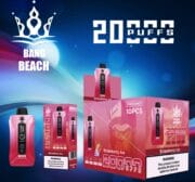 Bang Beach 20000 20K Puffs Einweg-E-Zigarette Original – Bild 13