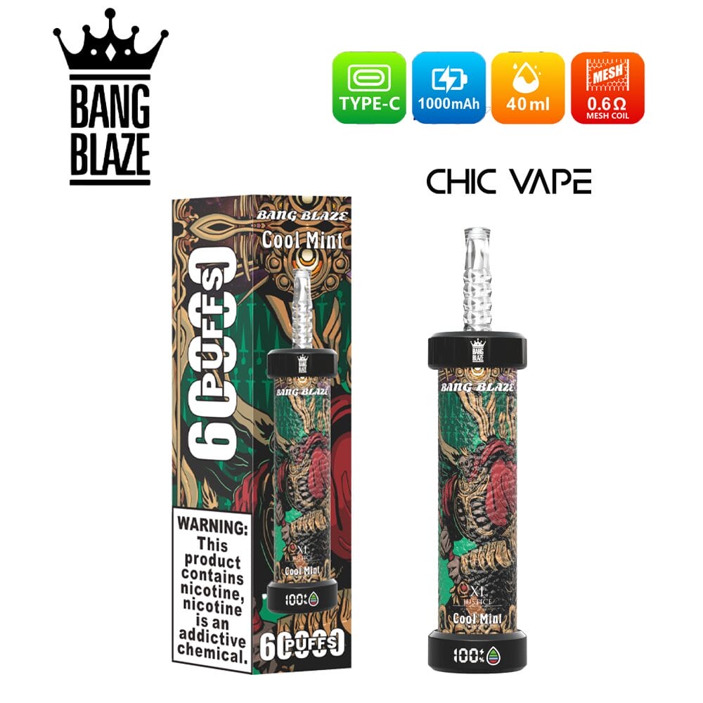 chicvape-cool-mint.jpg Bang Blaze 60000 60K Puffs DTL 60ml Einweg-E-Zigarette Original – Bild 9