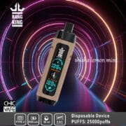 Bang King Shisha 25000 25K Puffs 30ml Einweg-E-Zigarette Original – Bild 9