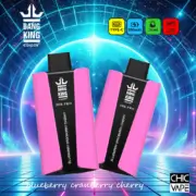 Bang King Pro 30000 30K Puffs Einweg-E-Zigarette Original