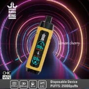 Bang King Shisha 25000 25K Puffs 30ml Einweg-E-Zigarette Original – Bild 6