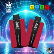 Bang King Pro 30000 30K Puffs Einweg-E-Zigarette Original – Bild 6