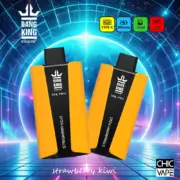 Bang King Pro 30000 30K Puffs Einweg-E-Zigarette Original – Bild 3