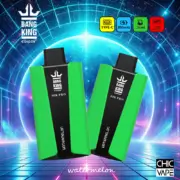 Bang King Pro 30000 30K Puffs Einweg-E-Zigarette Original – Bild 2