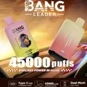 Bang Leader 45000 45K Puffs Dual Flavor 60ml Einweg-E-Zigarette Original