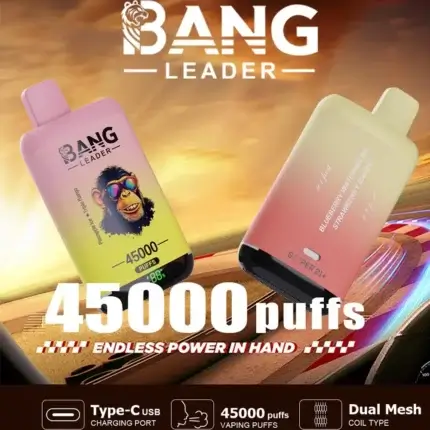 Bang Leader 45000 45K Puffs Dual Flavor 60ml Einweg-E-Zigarette Original