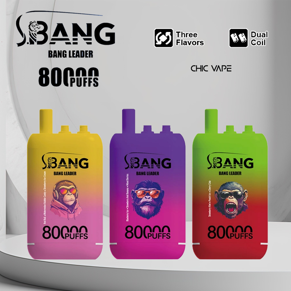 bang-leader-80k-chivape.png Bang Leader 80000 80k Puffs 78ml Einweg-E-Zigarette Original – Bild 1
