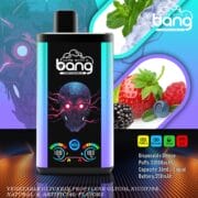 Bang 30K Pro 30000 30K Puffs Double Flavor 24ml Einweg-E-Zigarette Original – Bild 4