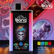 Bang 30K Pro 30000 30K Puffs Double Flavor 24ml Einweg-E-Zigarette Original – Bild 8