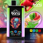 Bang 30K Pro 30000 30K Puffs Double Flavor 24ml Einweg-E-Zigarette Original – Bild 3