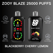 ZOOY Blaze 25000 25K Puffs 650 mAh Einweg-E-Zigarette – Bild 20