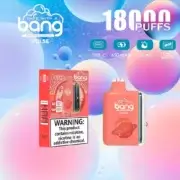 Bang Pulse 18000 18K Puffs 26ml Einweg-E-Zigarette Original – Bild 8