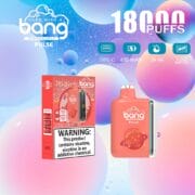 Bang Pulse 18000 18K Puffs 26ml Einweg-E-Zigarette Original – Bild 9