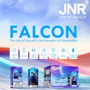 JNR FALCON 16000 Puffs 22ml Einweg-E-Zigaretten Dual Charging Ports Original