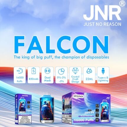 JNR FALCON 16000 Puffs 22ml Einweg-E-Zigaretten Dual Charging Ports Original