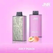 JNR Mega Box 25000 25K Puffs 30ml Einweg-E-Zigaretten Dual Mesh Coil Original – Bild 9