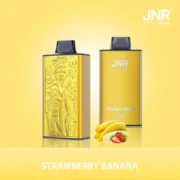 JNR Mega Box 25000 25K Puffs 30ml Einweg-E-Zigaretten Dual Mesh Coil Original – Bild 5