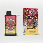 Bang 28000 28K Puffs 30ml Vape Original – Bild 5