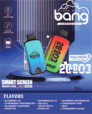 BANG 20000 20K Puffs Smart Screen 29ml Einweg-E-Zigarette Original