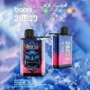 Bang 28000 28K Puffs 30ml Vape Original