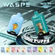 WASPE Digital Box 12000 12K Puffs 20ml Einweg-E-Zigarette Original